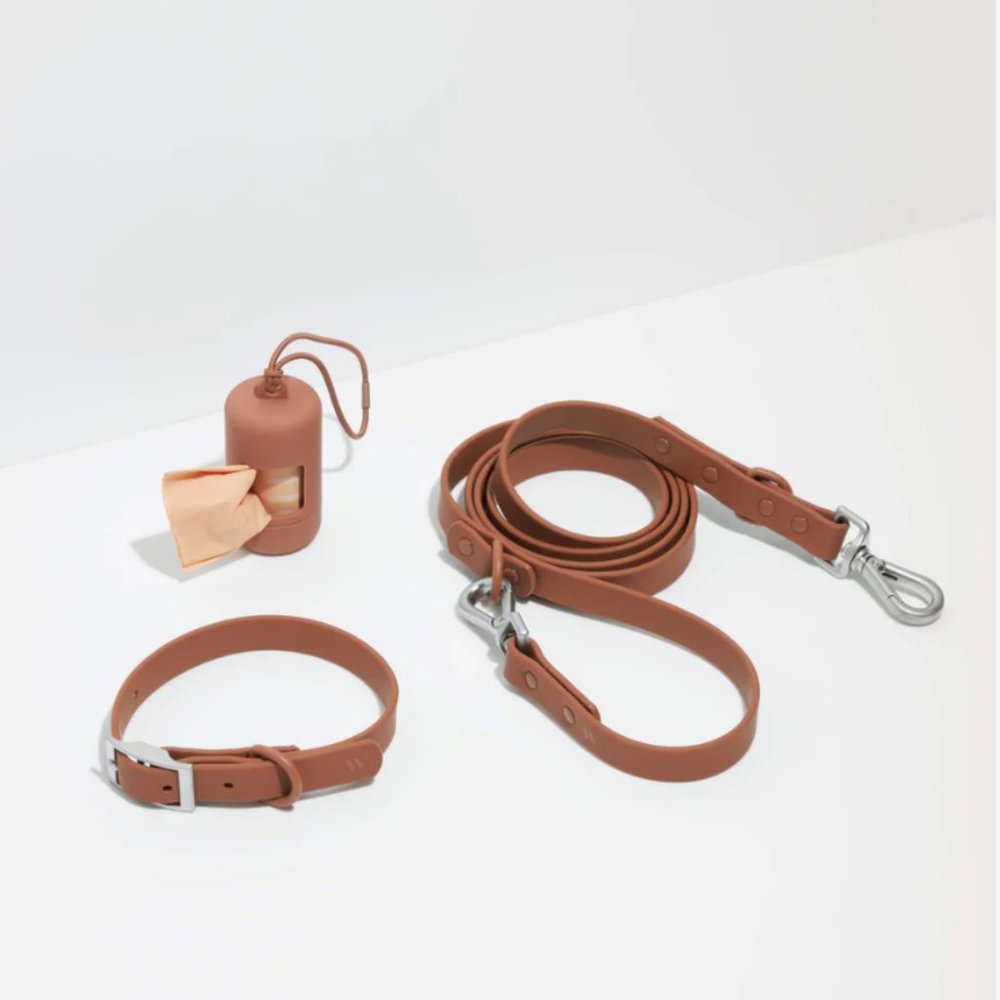 Wild One Collar Walk Kit Cocoa